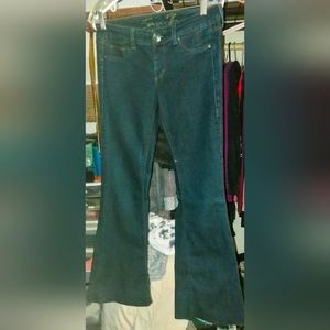 Seven Jeans Dark Wash Flares